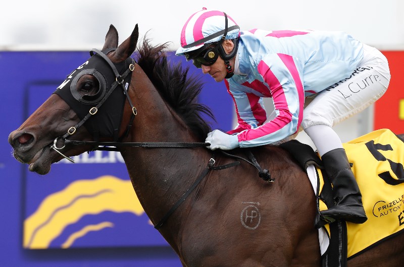 Sunshine Coast Betting Tips