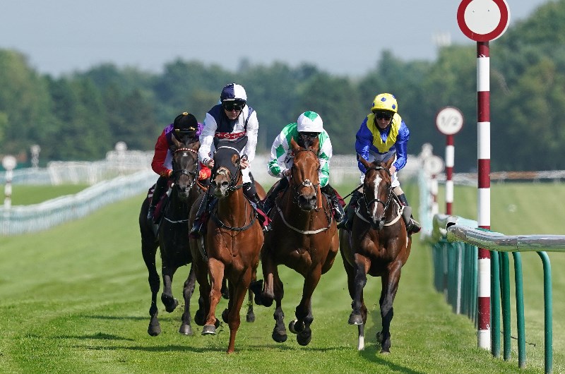 haydock park