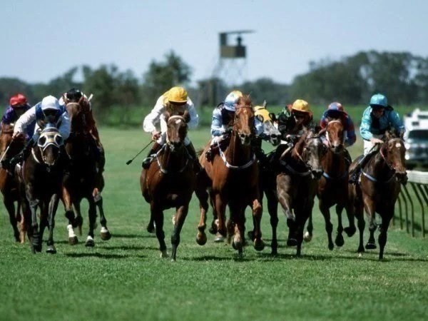 murray bridge tips for 23.05.2020