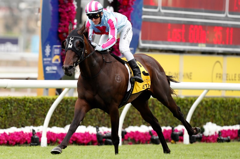racing sunshine coast