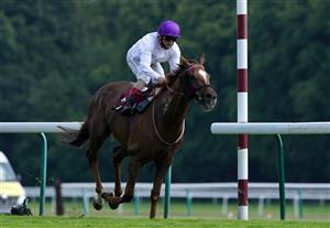 NEWTON-LE-WILLOWS, ENGLAND - JULY 01: Stone Soldier ridden by Andrea Atzeni winning the Follow RacingTV On Twitter Handicap at Haydock Park Racecourse at Haydock Park Racecourse on July 1, 2021 in Newton-le-Willows, England. (Photo by Martin Rickett - Pool/Getty Images)