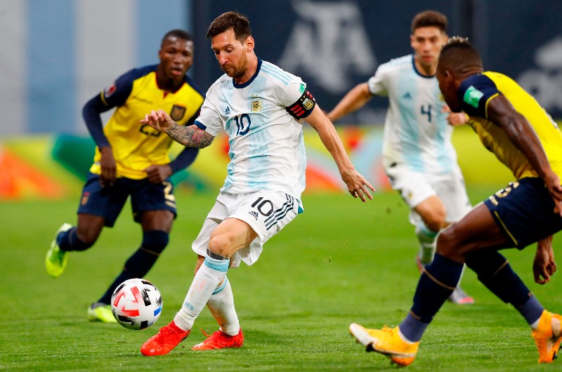 Argentina vs Ecuador Predictions, Tips, Preview & Live Stream