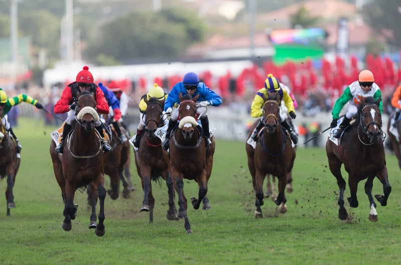 durban july greyville