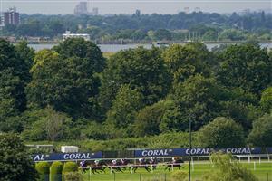 ESHER, ENGLAND - JULY 02: Racing down the back straight during The Davies Group Handicap at Sandown Racecourse on July 02, 2021 in Esher, England. Due to the Coronavirus pandemic, only owners along with a limited number of the paying public will be allowed to attend the meeting. (Photo by Alan Crowhurst/Getty Images)