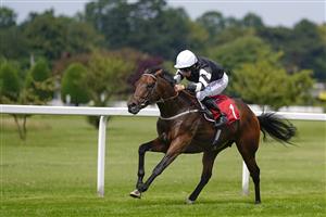 ESHER, ENGLAND - JULY 02: PJ McDonald riding Feraby win The Coral Dragon Stakes at Sandown Racecourse on July 02, 2021 in Esher, England. Due to the Coronavirus pandemic, only owners along with a limited number of the paying public will be allowed to attend the meeting. (Photo by Alan Crowhurst/Getty Images)
