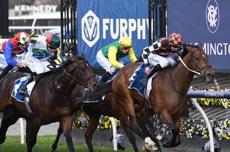 flemington race 8