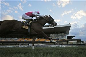 SYDNEY, AUSTRALIA - JULY 03: Josh Parr on Expat wins race 10 the XXXX Handicap during Sydney Racing at Rosehill Gardens on July 03, 2021 in Sydney, Australia. (Photo by Mark Evans/Getty Images)