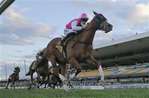 SYDNEY, AUSTRALIA - JULY 03: Josh Parr on Expat wins race 10 the XXXX Handicap during Sydney Racing at Rosehill Gardens on July 03, 2021 in Sydney, Australia. (Photo by Mark Evans/Getty Images)