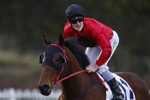 SYDNEY, AUSTRALIA - JULY 03: Jason Collett on Taksu returns to scale after winning race 8 the ACY Securities Handicap during Sydney Racing at Rosehill Gardens on July 03, 2021 in Sydney, Australia. (Photo by Mark Evans/Getty Images)