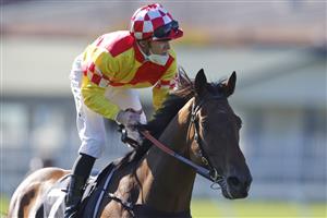 SYDNEY, AUSTRALIA - JULY 03: Josh Parr on Spencer returns to scale after winning race 3 the Agency Real Estate Handicap during Sydney Racing at Rosehill Gardens on July 03, 2021 in Sydney, Australia. (Photo by Mark Evans/Getty Images)