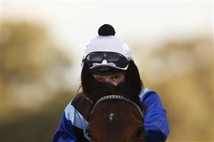 SYDNEY, AUSTRALIA - JULY 03: Josh Parr on Steely returns to scale after winning race 9 the Elite Sand & Soil Handicap during Sydney Racing at Rosehill Gardens on July 03, 2021 in Sydney, Australia. (Photo by Mark Evans/Getty Images)