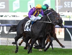 MELBOURNE, AUSTRALIA - JULY 03: Brett Prebble riding Mongolian Marshal winning race 6, the Vrc-crv Winter Championship Series Final, during Melbourne Racing at Flemington Racecourse on July 03, 2021 in Melbourne, Australia. (Photo by Vince Caligiuri/Getty Images)