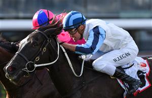 MELBOURNE, AUSTRALIA - JULY 03: Billy Egan riding Foxy Frida defeats Damian Lane riding Divine Diosa in race 5, the Mss Security Rivette Series Final, during Melbourne Racing at Flemington Racecourse on July 03, 2021 in Melbourne, Australia. (Photo by Vince Caligiuri/Getty Images)