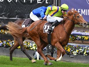 MELBOURNE, AUSTRALIA - JULY 03: Damian Lane riding Jagar winning Race 1, the Sofitel Next Generation Sprinters Final, during Melbourne Racing at Flemington Racecourse on July 03, 2021 in Melbourne, Australia. (Photo by Vince Caligiuri/Getty Images)
