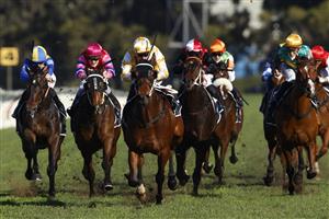 SYDNEY, AUSTRALIA - JULY 03: Kerrin McEvoy on Papal Warrior wins race 7 the Quayclean Handicap during Sydney Racing at Rosehill Gardens on July 03, 2021 in Sydney, Australia. (Photo by Mark Evans/Getty Images)