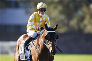 SYDNEY, AUSTRALIA - JULY 03: Kerrin McEvoy on Papal Warrior returns to scale after winning race 7 the Quayclean Handicap during Sydney Racing at Rosehill Gardens on July 03, 2021 in Sydney, Australia. (Photo by Mark Evans/Getty Images)