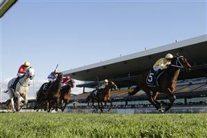 SYDNEY, AUSTRALIA - JULY 03: Kerrin McEvoy on Papal Warrior wins race 7 the Quayclean Handicap during Sydney Racing at Rosehill Gardens on July 03, 2021 in Sydney, Australia. (Photo by Mark Evans/Getty Images)