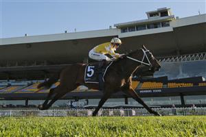SYDNEY, AUSTRALIA - JULY 03: Kerrin McEvoy on Papal Warrior wins race 7 the Quayclean Handicap during Sydney Racing at Rosehill Gardens on July 03, 2021 in Sydney, Australia. (Photo by Mark Evans/Getty Images)