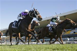 SYDNEY, AUSTRALIA - JULY 03: Tim Clark on The Big Easy wins race 4 the Ranvet Handicap during Sydney Racing at Rosehill Gardens on July 03, 2021 in Sydney, Australia. (Photo by Mark Evans/Getty Images)