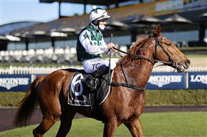SYDNEY, AUSTRALIA - JULY 03: Tim Clark on The Big Easy returns to scale after winning race 4 the Ranvet Handicap during Sydney Racing at Rosehill Gardens on July 03, 2021 in Sydney, Australia. (Photo by Mark Evans/Getty Images)
