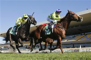 SYDNEY, AUSTRALIA - JULY 03: Tim Clark on Hellenism wins race 2 the TAB Highway Class 3 Handicap during Sydney Racing at Rosehill Gardens on July 03, 2021 in Sydney, Australia. (Photo by Mark Evans/Getty Images)