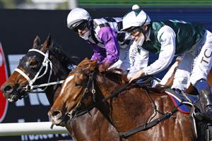 SYDNEY, AUSTRALIA - JULY 03: Tim Clark on The Big Easy wins race 4 the Ranvet Handicap during Sydney Racing at Rosehill Gardens on July 03, 2021 in Sydney, Australia. (Photo by Mark Evans/Getty Images)