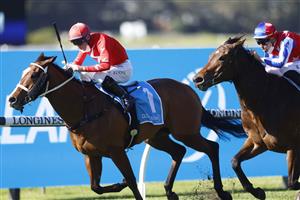 SYDNEY, AUSTRALIA - JULY 03: Tommy Berry on Tycoonist wins race 1 the Cleanaway Handicap during Sydney Racing at Rosehill Gardens on July 03, 2021 in Sydney, Australia. (Photo by Mark Evans/Getty Images)