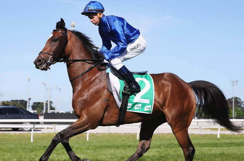 Cranbourne Betting Tips
