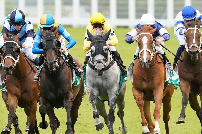 Grafton Tips for 08.07.2021