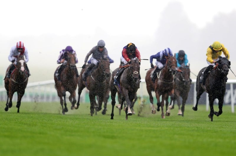 july stakes tactical