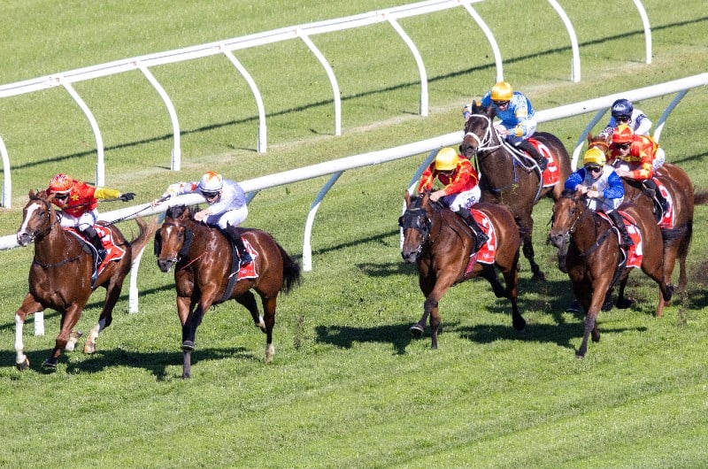 Randwick Tips for 10.07.2021