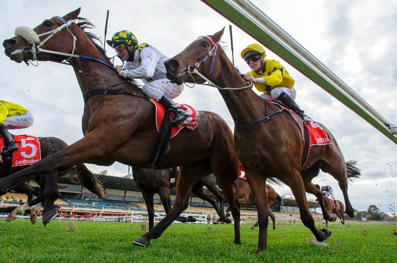 Sale Betting Tips