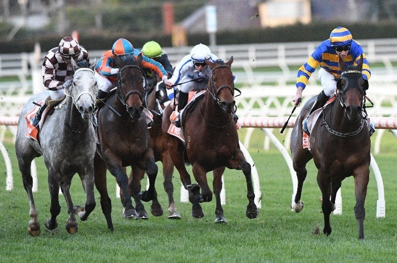 Caulfield Betting Tips
