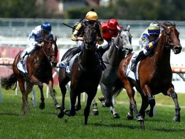 gawler tips for 17.06.2020