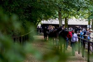 NEWMARKET, ENGLAND - JULY 10: A general view of the pre parade ring at Newmarket Racecourse on July 10, 2021 in Newmarket, England. Due to the Coronavirus pandemic, only owners along with a limited number of the paying public will be allowed to attend the meeting. (Photo by Alan Crowhurst/Getty Images)