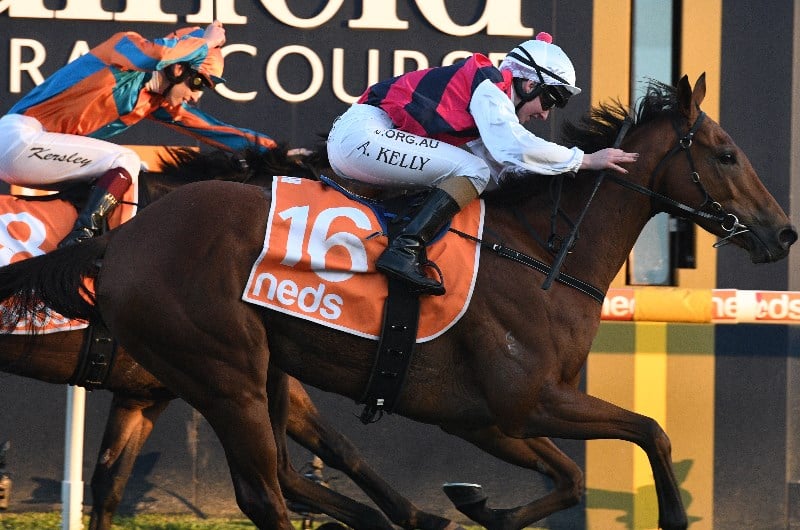caulfield race 9