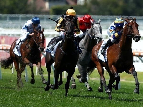 gawler tips for 17.06.2020