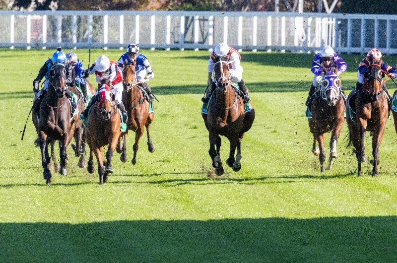 randwick