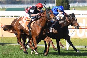 MELBOURNE, AUSTRALIA - JULY 10: Billy Egan riding Libiamo winning Race 1, the Neds Handicap, during Melbourne Racing at Caulfield Racecourse on July 10, 2021 in Melbourne, Australia. (Photo by Vince Caligiuri/Getty Images)