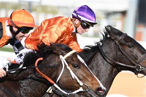 MELBOURNE, AUSTRALIA - JULY 10: Brett Prebble riding Belsielle defeats Jamie Kah riding Sugartown in Race 4, the Michael Fox Handicap, during Melbourne Racing at Caulfield Racecourse on July 10, 2021 in Melbourne, Australia. (Photo by Vince Caligiuri/Getty Images)