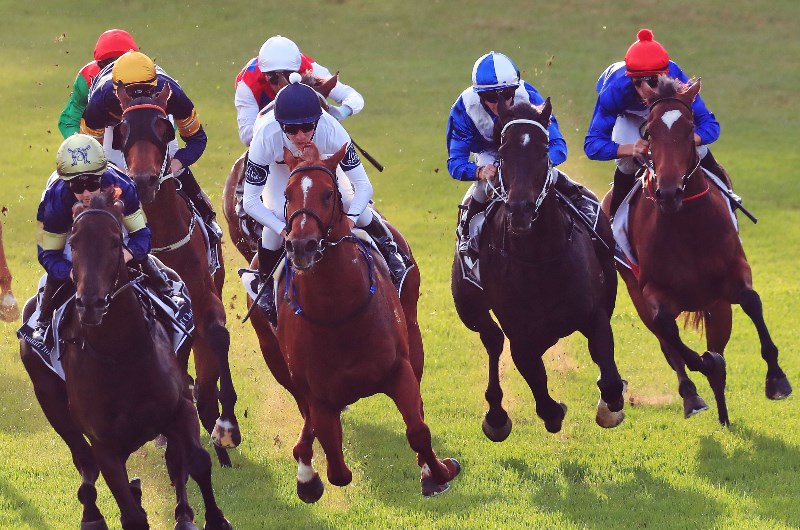 Canterbury Tips for 14.07.2021
