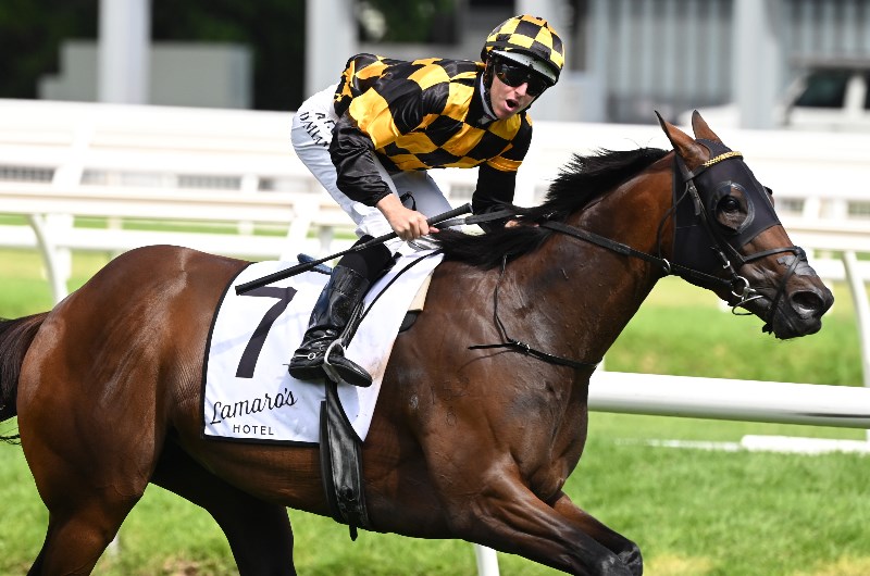 Memsie Stakes Betting Odds
