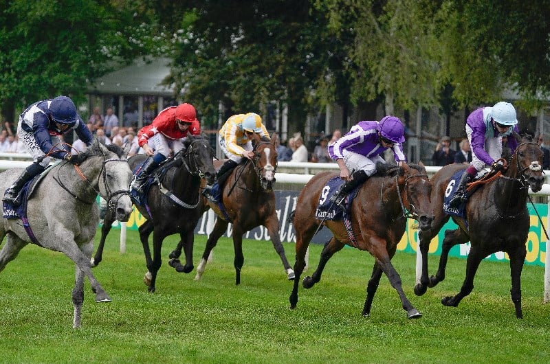 falmouth stakes