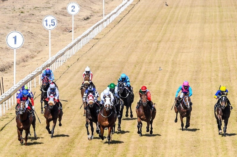 south africa horse racing