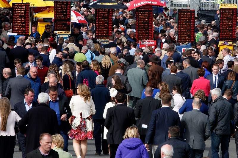 punchestown betting ring