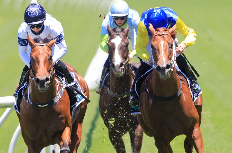 Eagle Farm Betting Tips