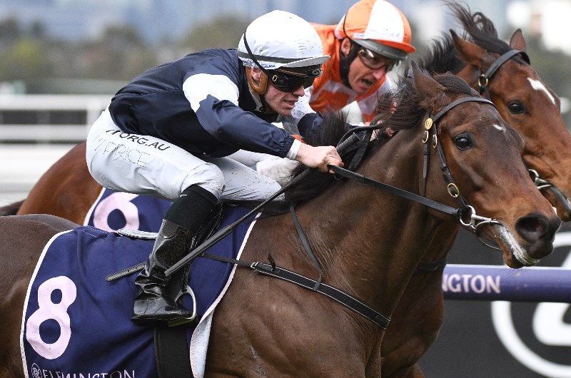 Flemington Betting Tips