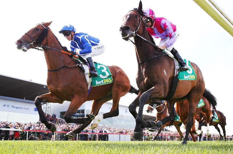 Geelong Betting Tips