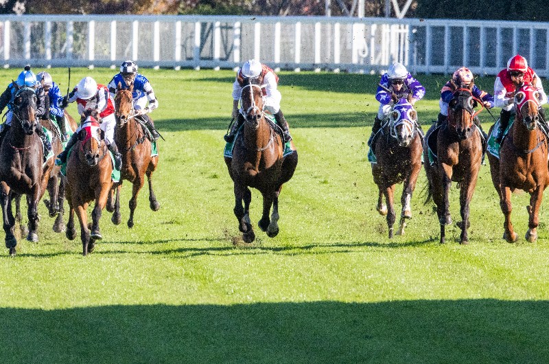 Randwick Tips for 17.07.2021