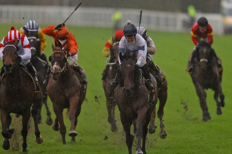 rachel king - bookmaker